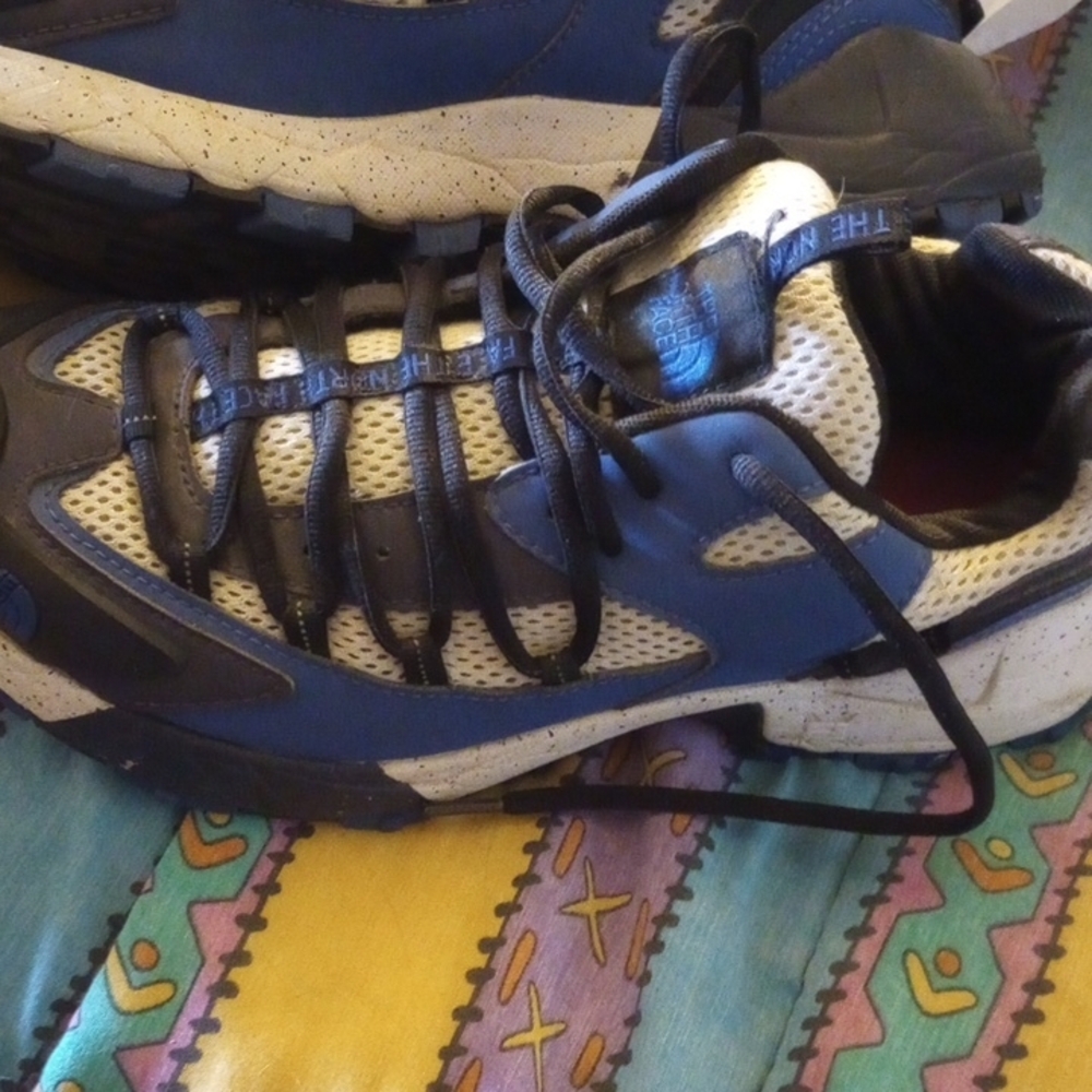Men's North Face Shoes